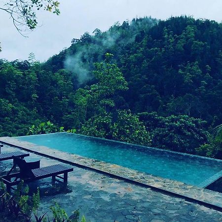 Jansen'S Bungalow Sinharaja Rainforest Retreat Kudawe Buitenkant foto