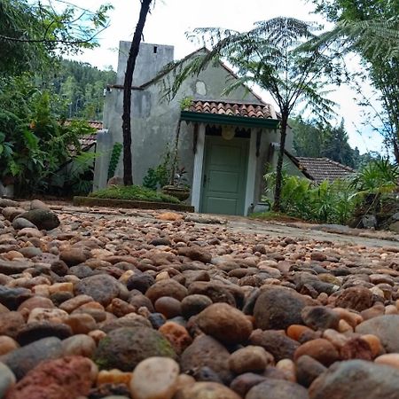 Jansen'S Bungalow Sinharaja Rainforest Retreat Kudawe Buitenkant foto