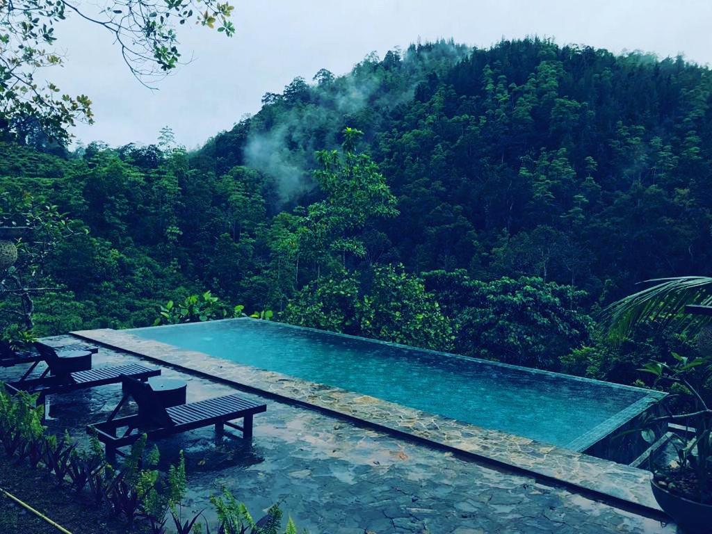 Jansen'S Bungalow Sinharaja Rainforest Retreat Kudawe Buitenkant foto