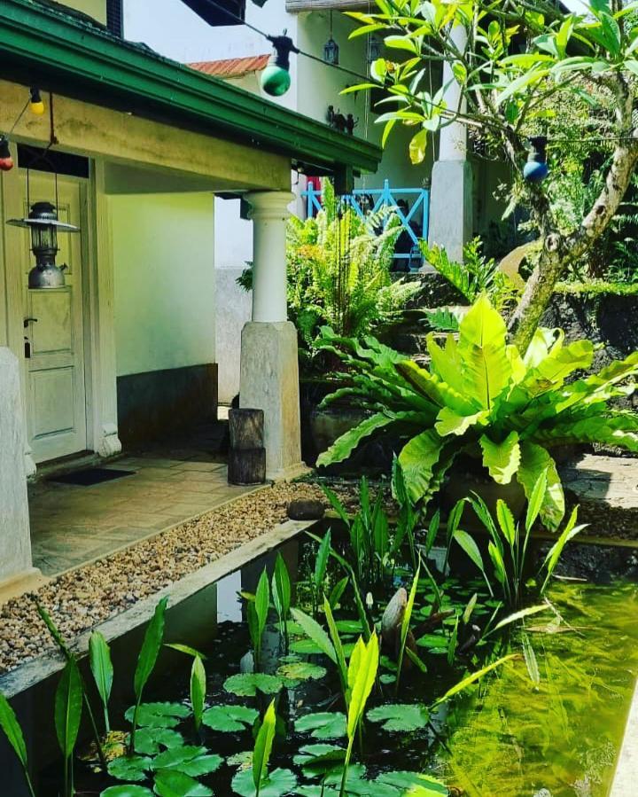 Jansen'S Bungalow Sinharaja Rainforest Retreat Kudawe Buitenkant foto